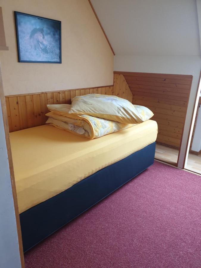 Am Sommerberg - Greschuk Apartments Фелдберг Екстериор снимка