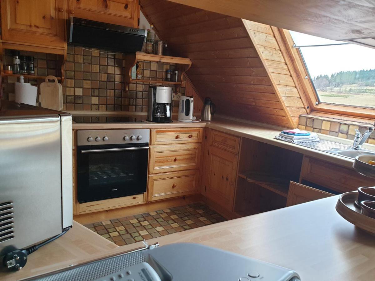 Am Sommerberg - Greschuk Apartments Фелдберг Екстериор снимка
